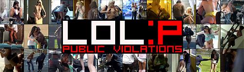  PublicViolations.com (2010) SATRip