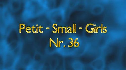  Petit Small Girls #36 / Мелкие маленькие девочки #36 (2010) DVDRip